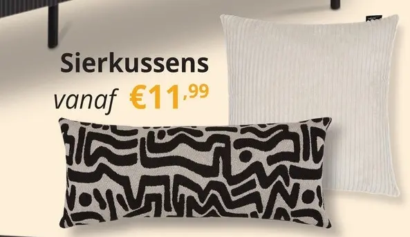 Promotie: Sierkussens