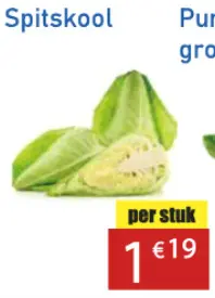Aanbieding: Spitskool