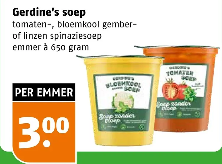 Aanbieding: Gerdine's Soep