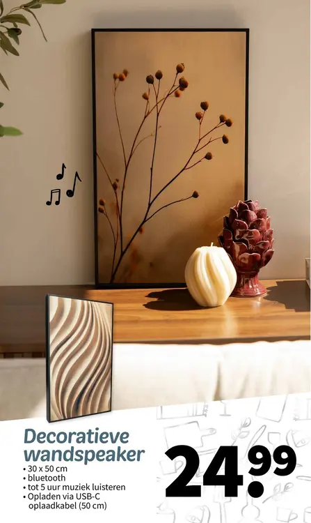 Aanbieding: Decoratieve wandspeaker