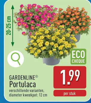 Promotie: Portulaca