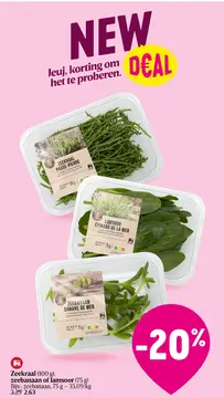 Aanbieding: Zeekraal, zeebanaan of lamsoor