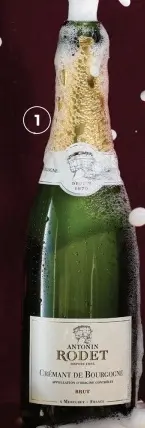 Aanbieding: Antonin Rodet Cremant de bourgogne brut