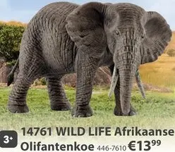 Aanbieding: Wild Life Afrikaanse Olifantenkoe