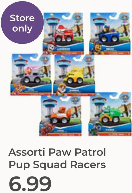Aanbieding: Assorti Paw Patrol Pup Squad Racers