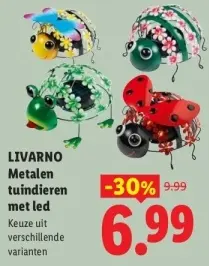 Aanbieding: Metalen tuindieren met led