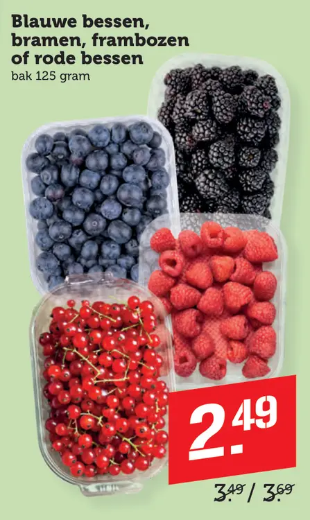 Aanbieding: Blauwe bessen, bramen, frambozen of rode bessen