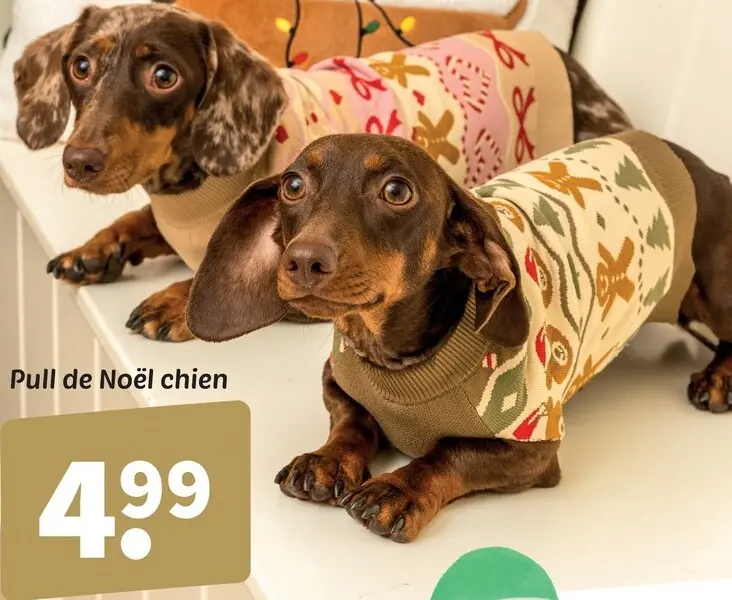 Offre: Pull de Noël chien