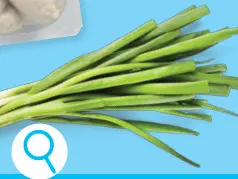 Offre: Oignons nouveaux