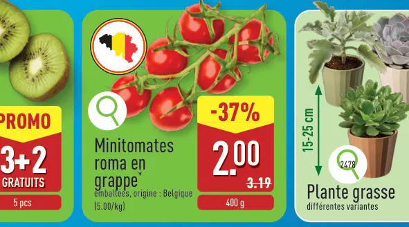 Offre: Minitomates roma en grappe