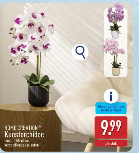 Promotie: Kunstorchidee