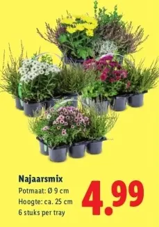 Aanbieding: Najaarsmix