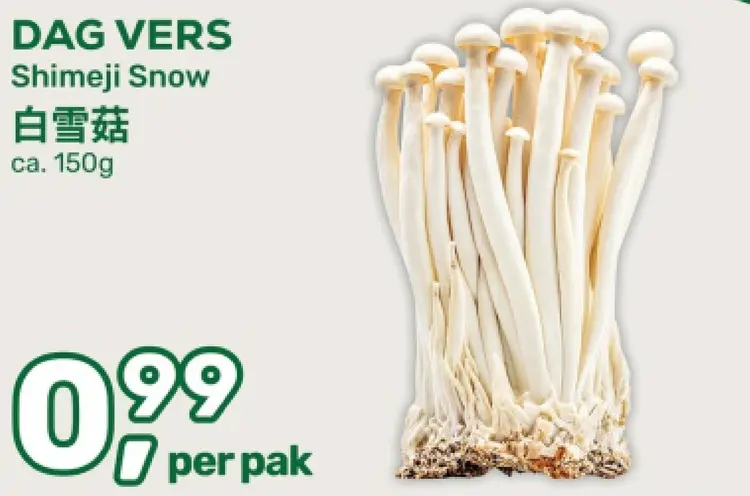 Aanbieding: Shimeji Snow
