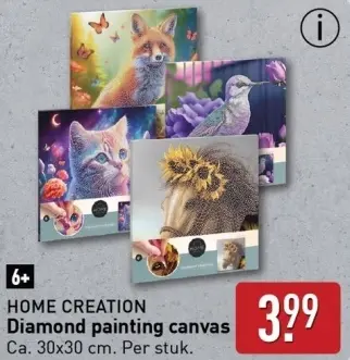 Aanbieding: Diamond painting canvas