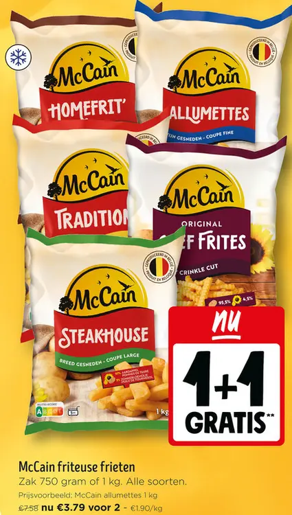 Promotie: Friteuse frieten