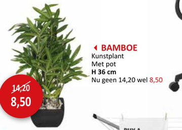 Aanbieding: Kunstplant Bamboe H36cm