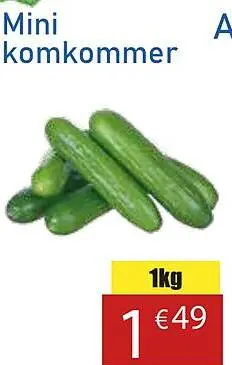 Aanbieding: Mini Komkommer
