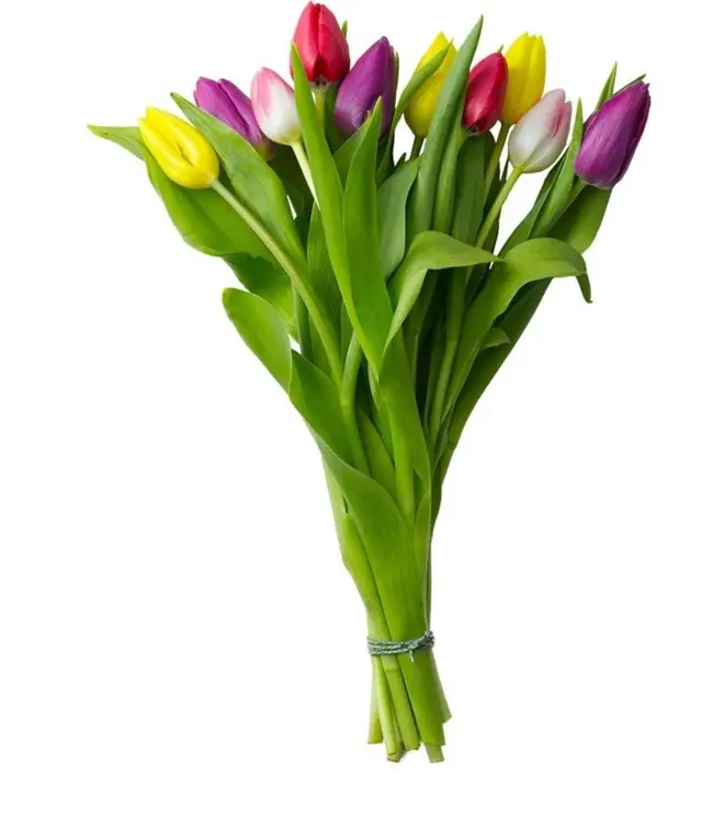 Promotie: Tulpen