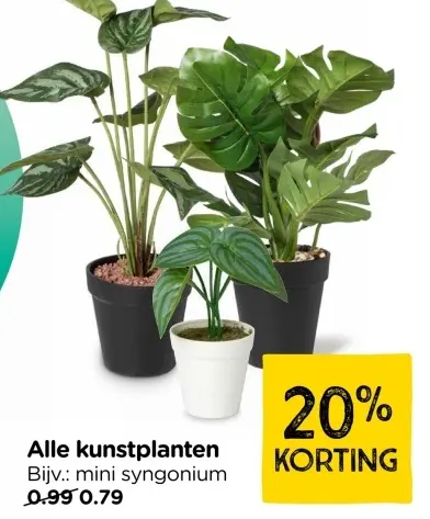 Aanbieding: Alle kunstplanten