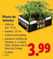 Offre: Plants de tomates