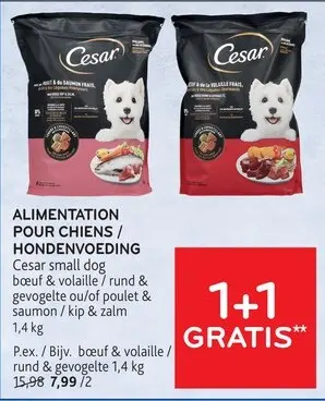 Offre: Alimentation pour chiens / Hondenvoeding