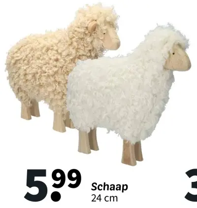 Promotie: Schaap