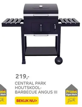 Aanbieding: CENTRAL PARK HOUTSKOOL-BARBECUE ANGUS III