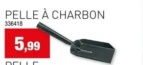 Offre: Pelle à charbon
