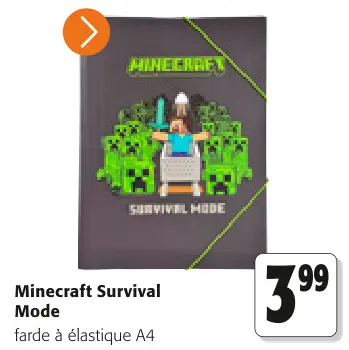 Offre: Minecraft Survival Mode