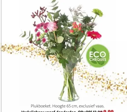 Promotie: Plukboeket