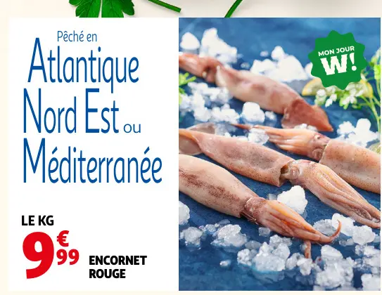 Offre: Encornet rouge