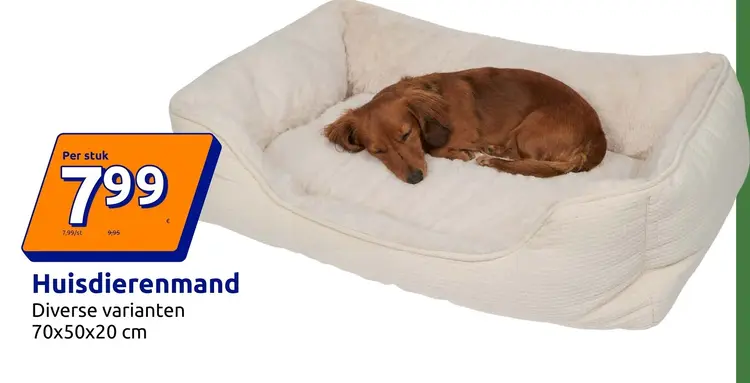 Promotie: Huisdierenmand