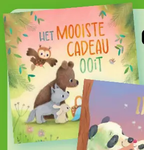 Promotie: Kinderboek - Het mooiste cadeau ooit