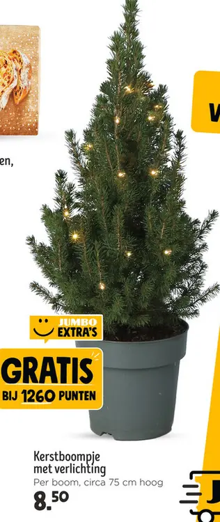 Aanbieding: Kerstboompje met verlichting