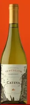 Aanbieding: Tupungato chardonnay