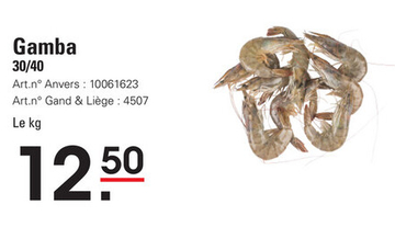 Offre: Gamba