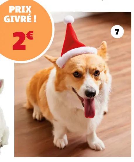 Offre: Peluche pour chien