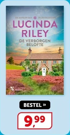 Aanbieding: De verborgen belofte - Lucinda Riley