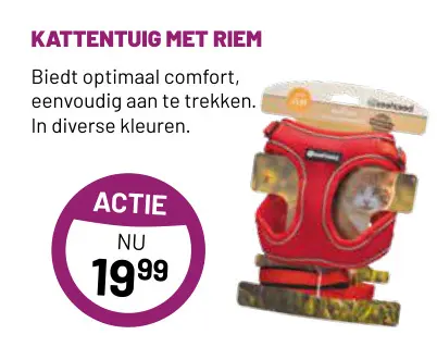 Aanbieding: Kattentuig met riem
