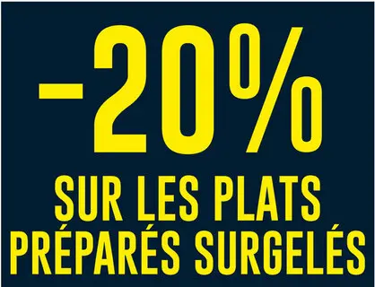 Offre: Plats préparés surgelés
