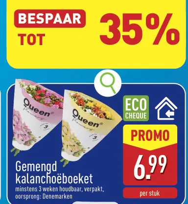 Aanbieding: Gemengd kalanchoëboeket