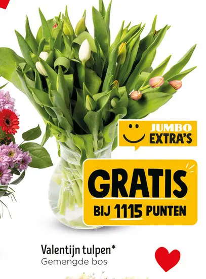 Aanbieding: Valentijn tulpen
