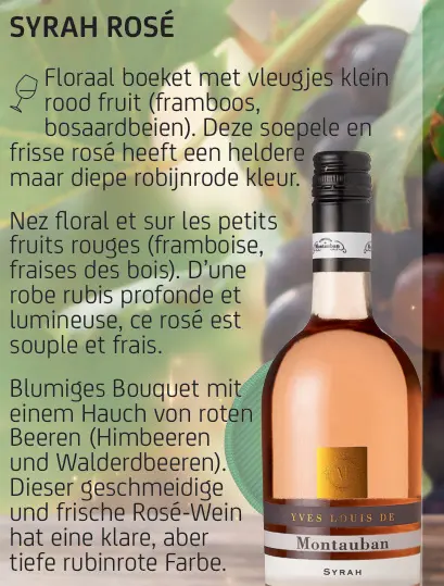 Promotie: Syrah rosé