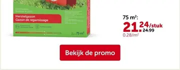Aanbieding: Herstelgazon Gazon de regarnissage