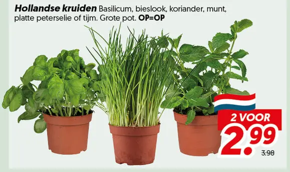 Hollandse kruiden