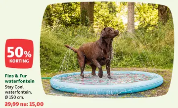 Aanbieding: Fins & Fur waterfontein