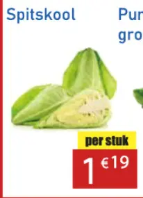 Aanbieding: Spitskool