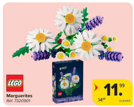 Offre: Marguerites