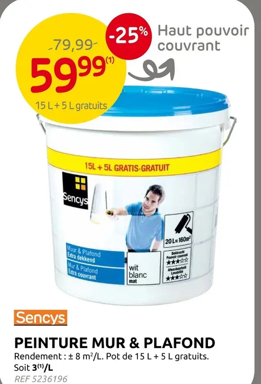 Offre: Peinture mur & plafond