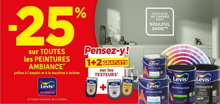 Offre: Peintures Ambiance